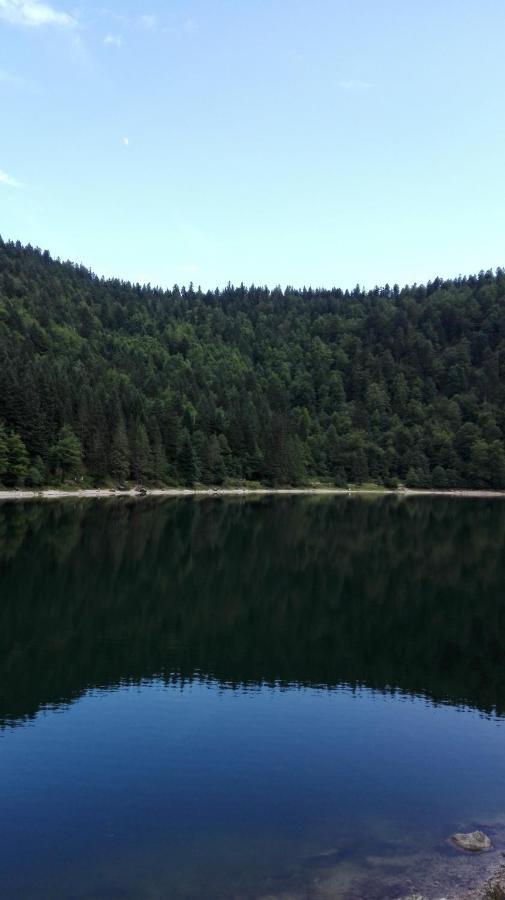 La Bressaude - Vacances-En-Vosges - Menage Compris La Bresse Dış mekan fotoğraf