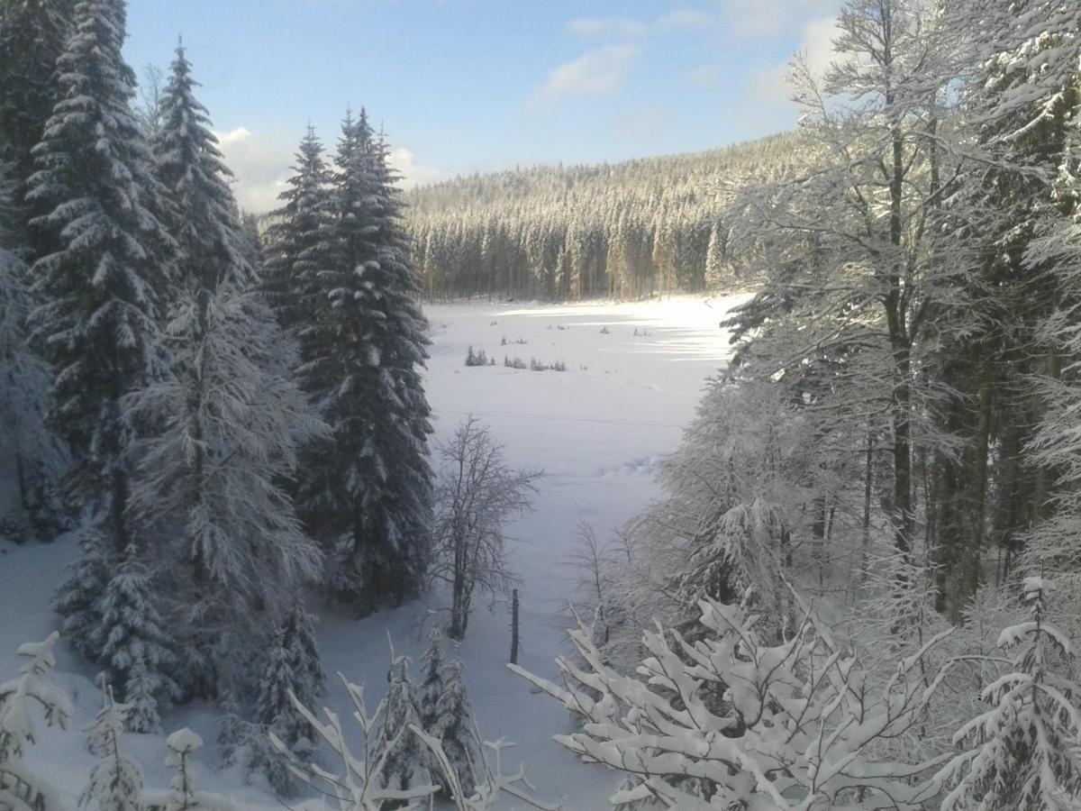 La Bressaude - Vacances-En-Vosges - Menage Compris La Bresse Dış mekan fotoğraf