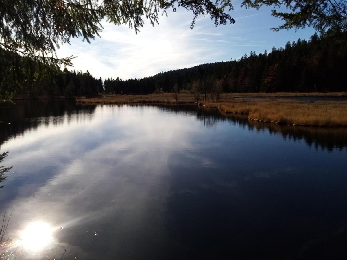 La Bressaude - Vacances-En-Vosges - Menage Compris La Bresse Dış mekan fotoğraf