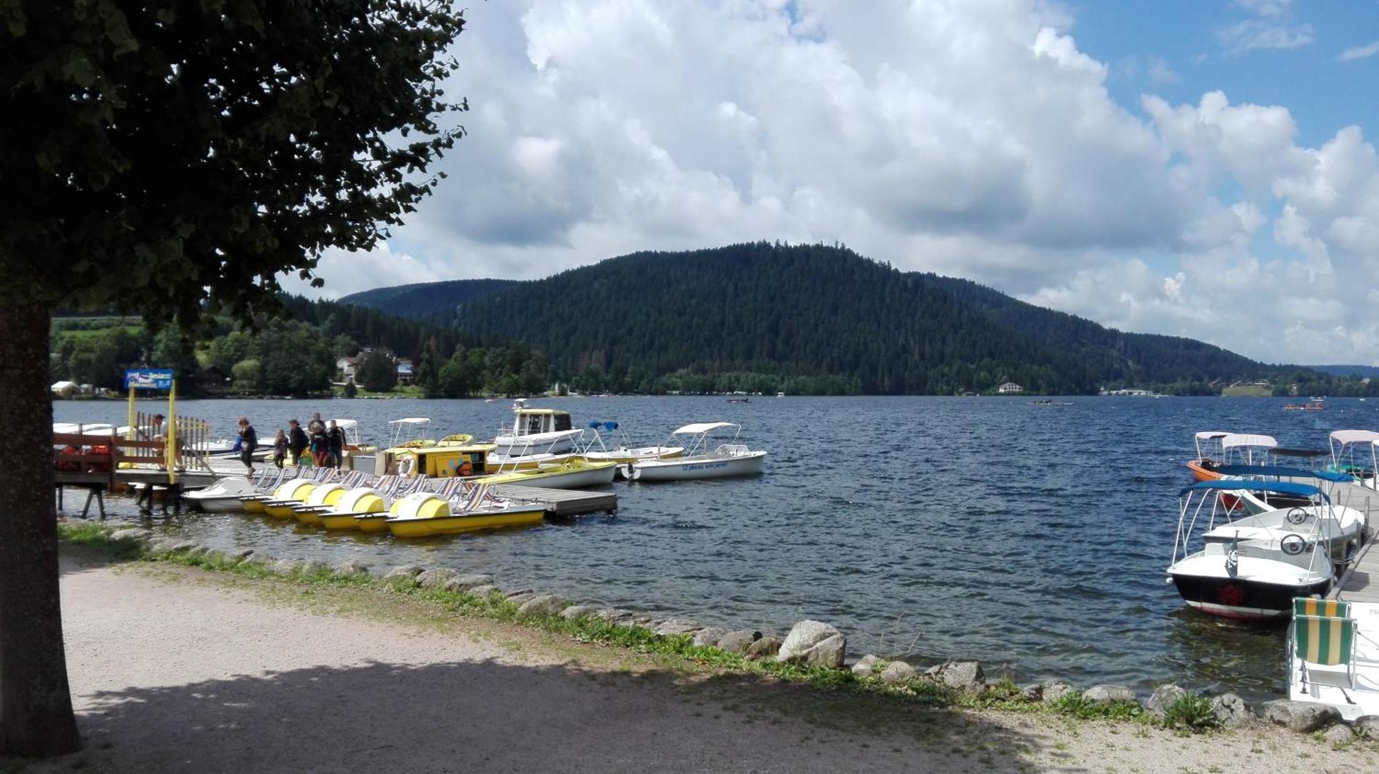 La Bressaude - Vacances-En-Vosges - Menage Compris La Bresse Dış mekan fotoğraf