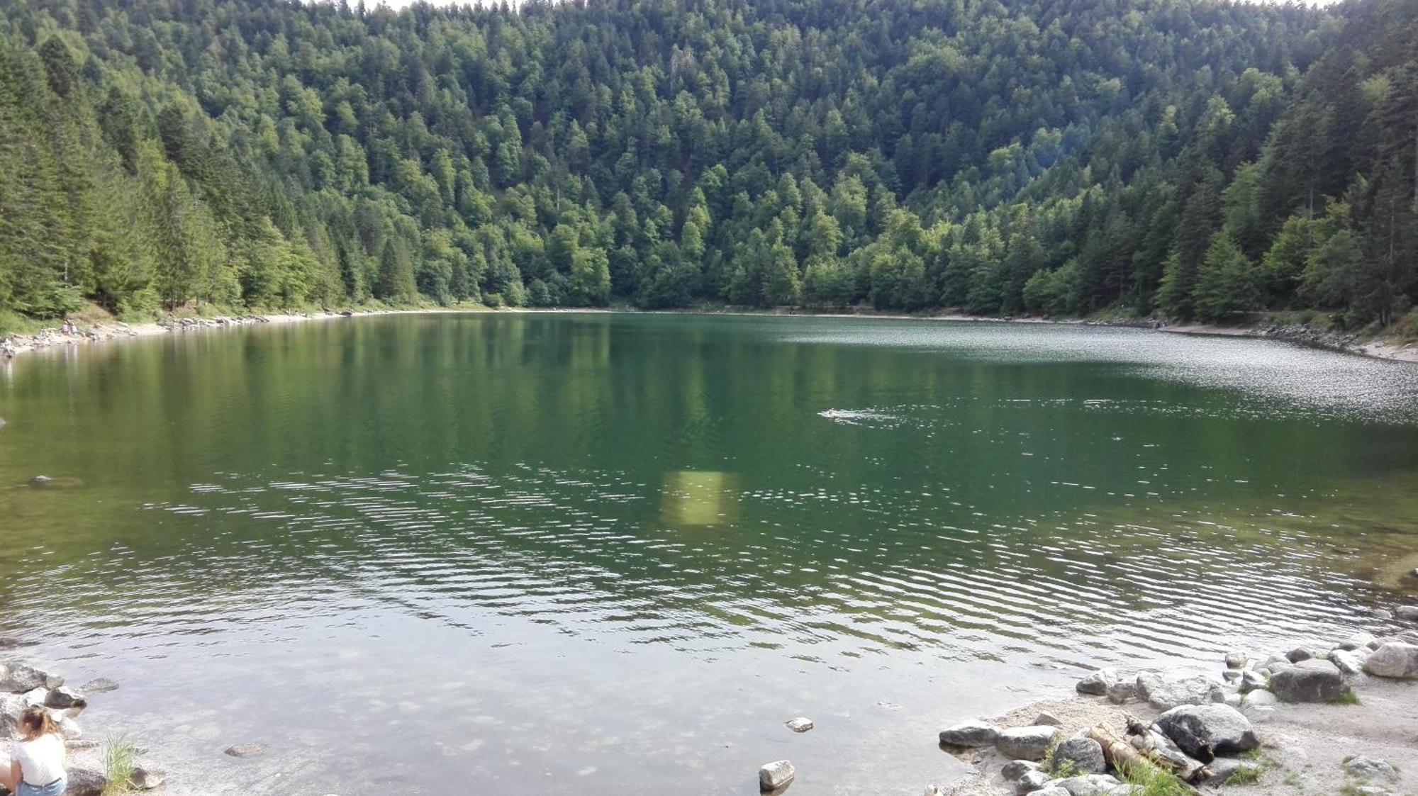 La Bressaude - Vacances-En-Vosges - Menage Compris La Bresse Dış mekan fotoğraf