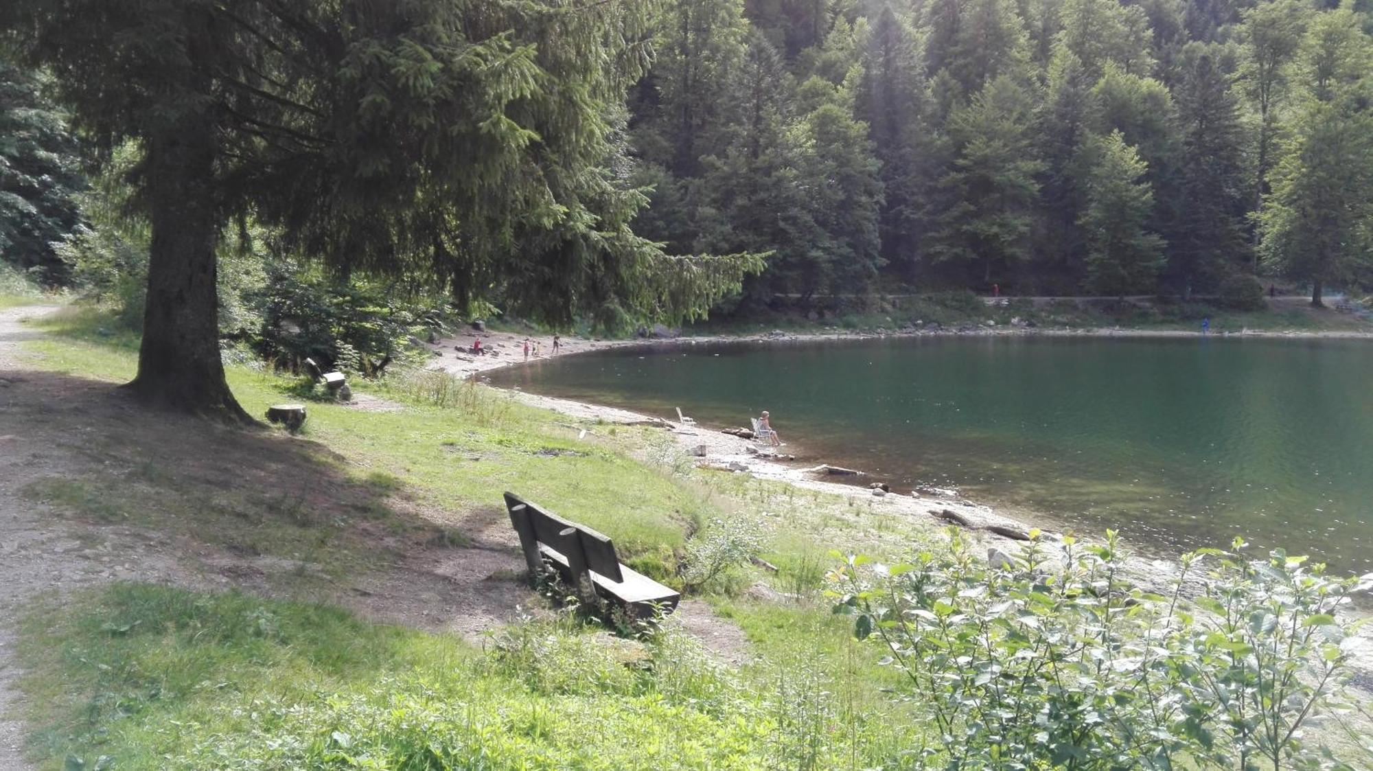 La Bressaude - Vacances-En-Vosges - Menage Compris La Bresse Dış mekan fotoğraf