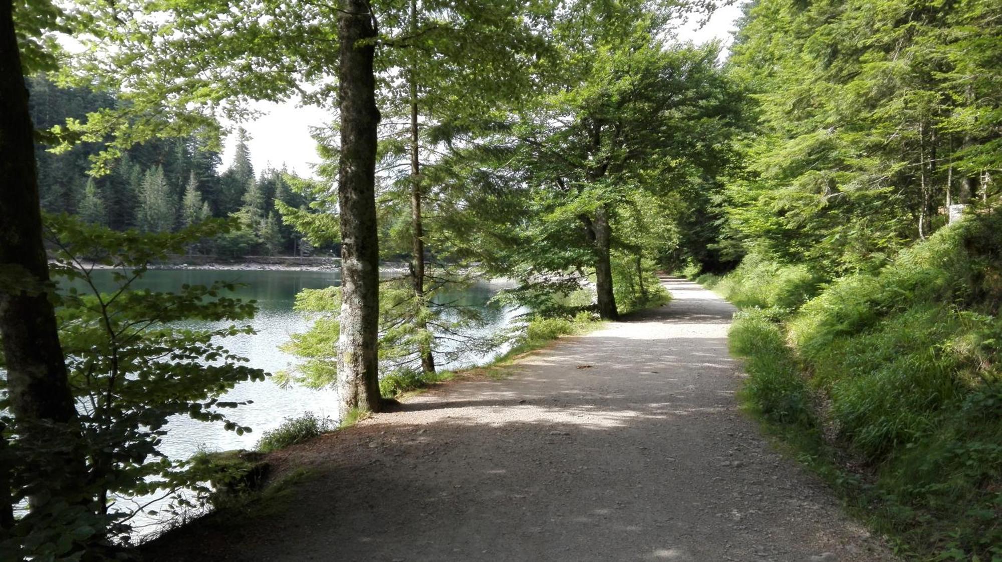 La Bressaude - Vacances-En-Vosges - Menage Compris La Bresse Dış mekan fotoğraf