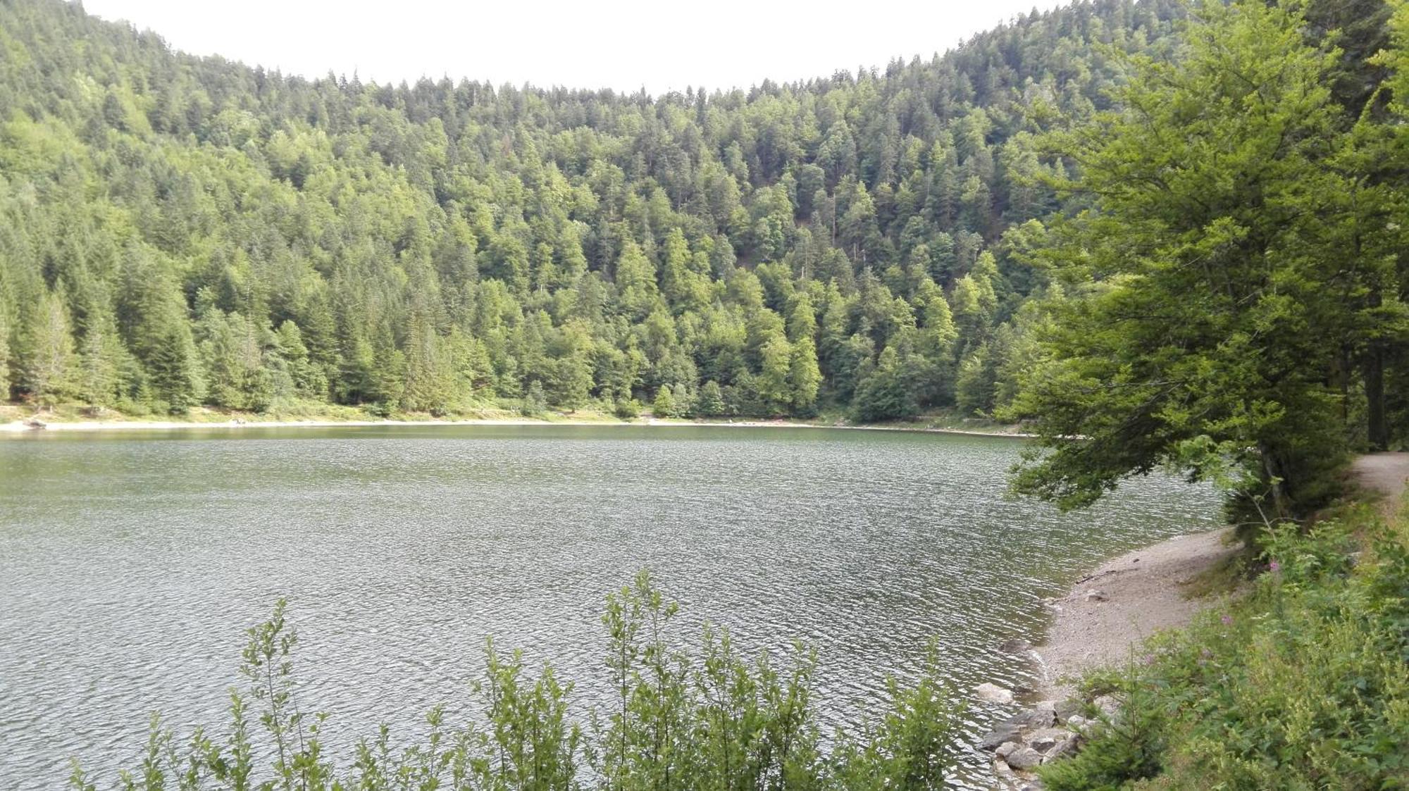 La Bressaude - Vacances-En-Vosges - Menage Compris La Bresse Dış mekan fotoğraf