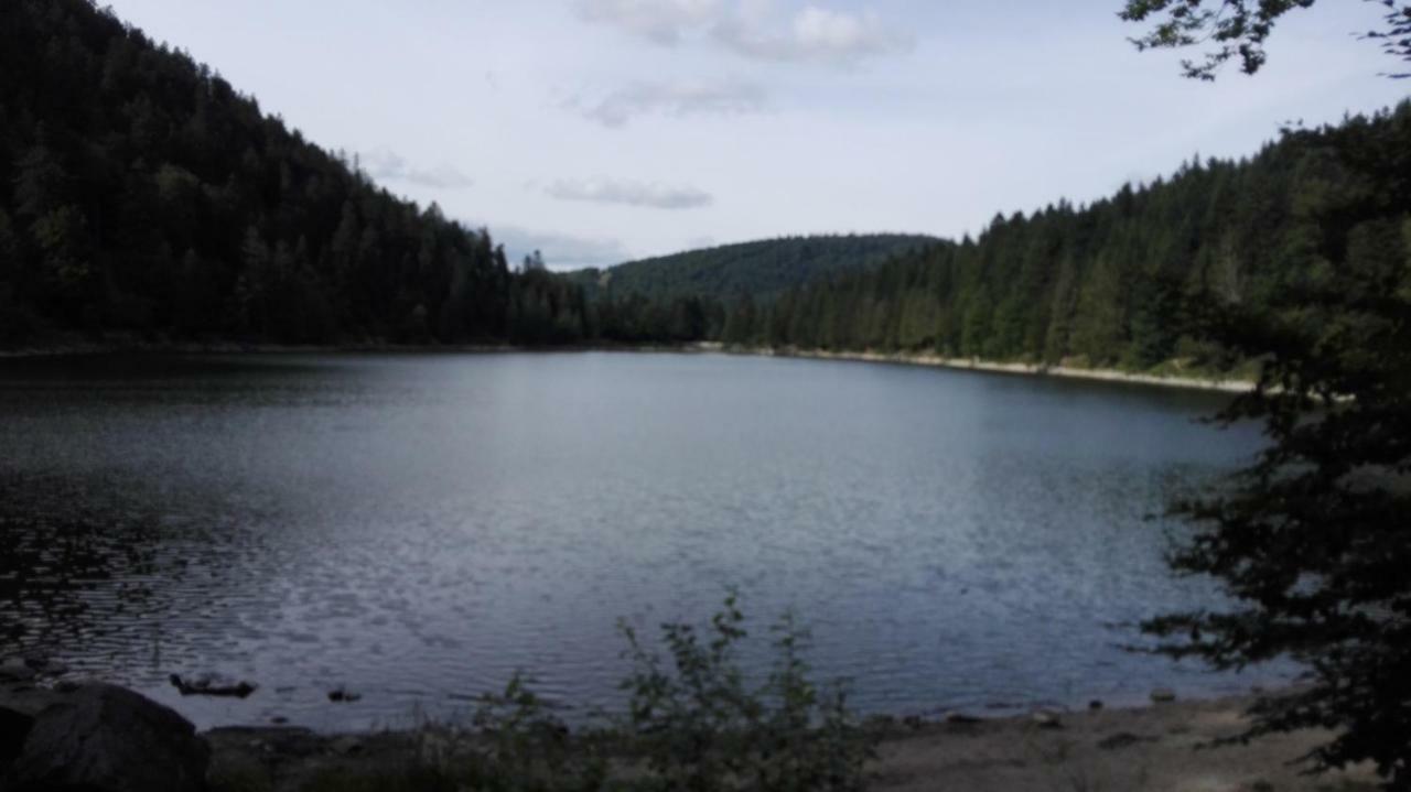 La Bressaude - Vacances-En-Vosges - Menage Compris La Bresse Dış mekan fotoğraf